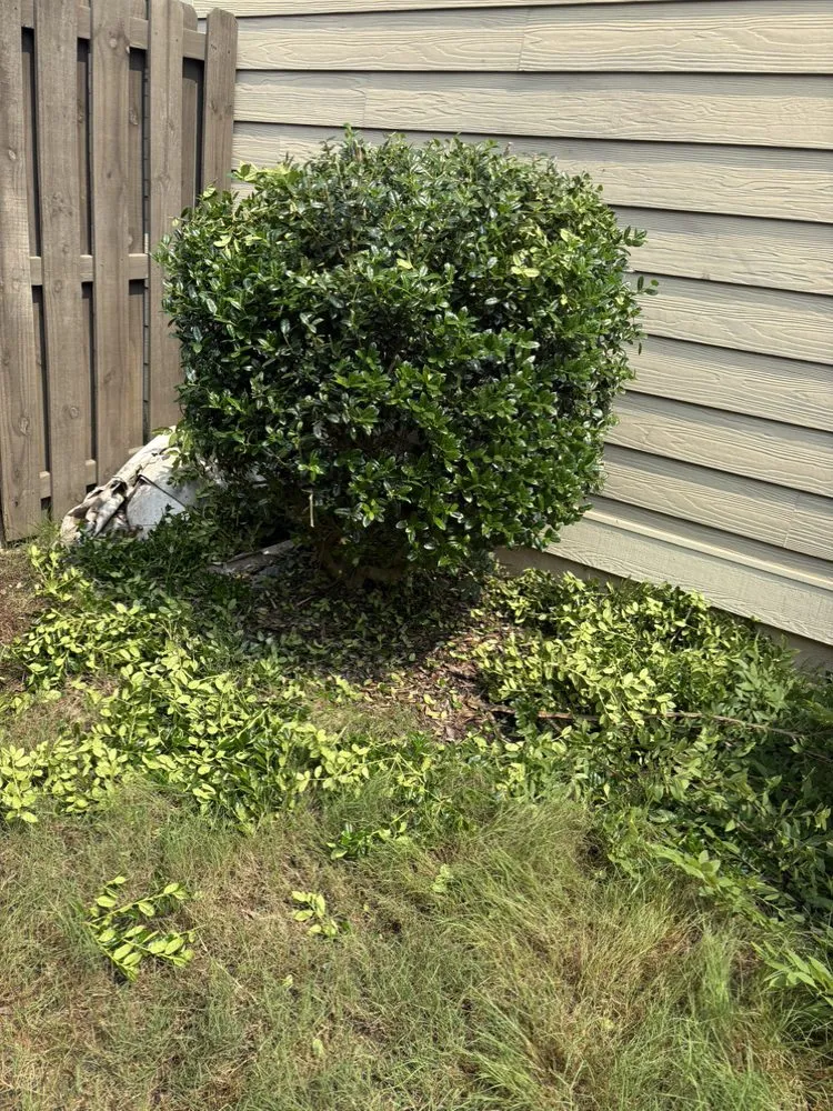 Affordable yard maintenance with custom design in Augusta, GA by Tere’s Garden Design & Landscaping