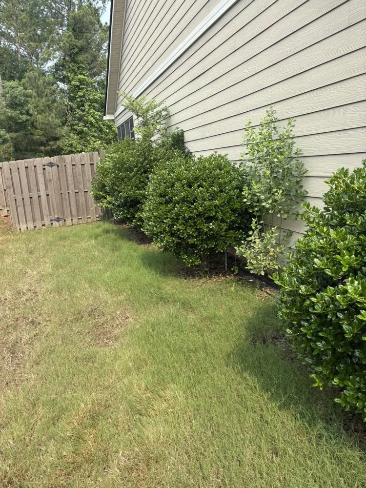 Local outdoor landscaping in Augusta, GA - Tere’s Garden Design & Landscaping