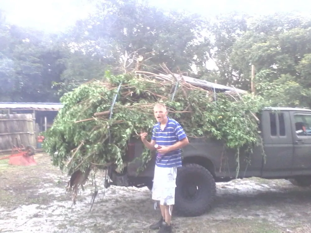 Professional yard cleanup service for beautiful yards across Zephyrhills, FL - Teresa & Ray's Tree Service