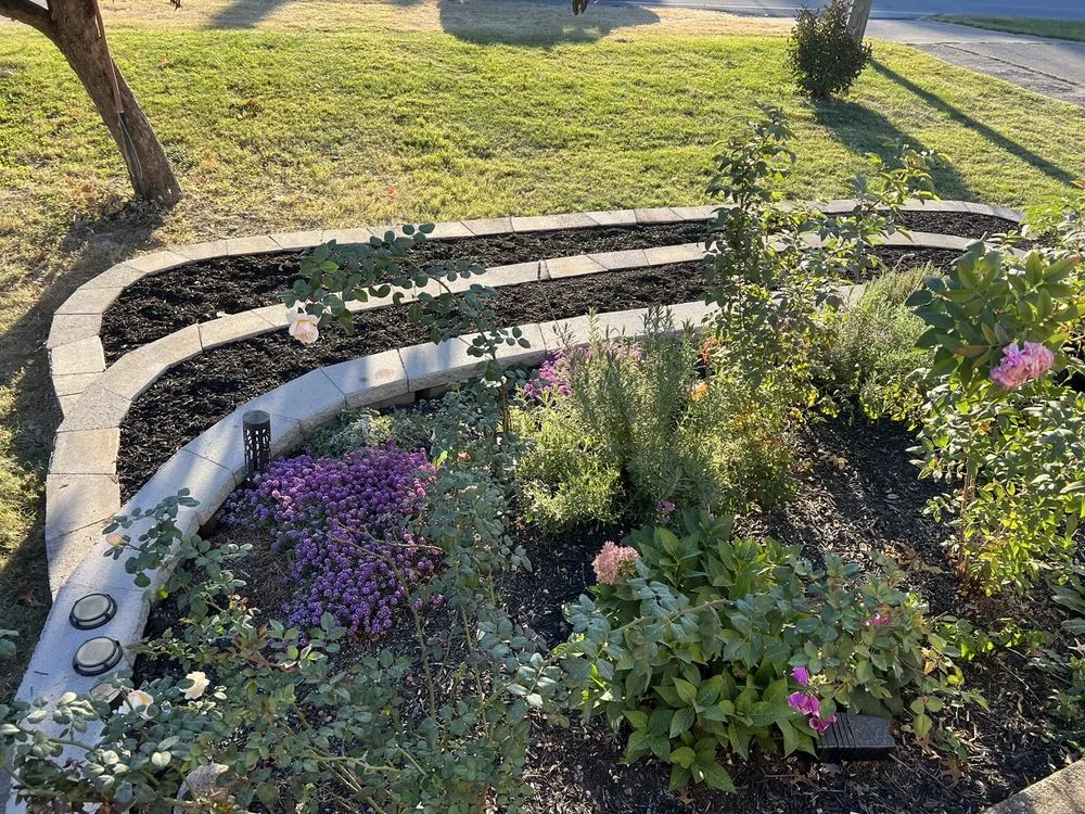 Expert yard maintenance for beautiful yards across Shelbyville, KY - Tereso Estrada