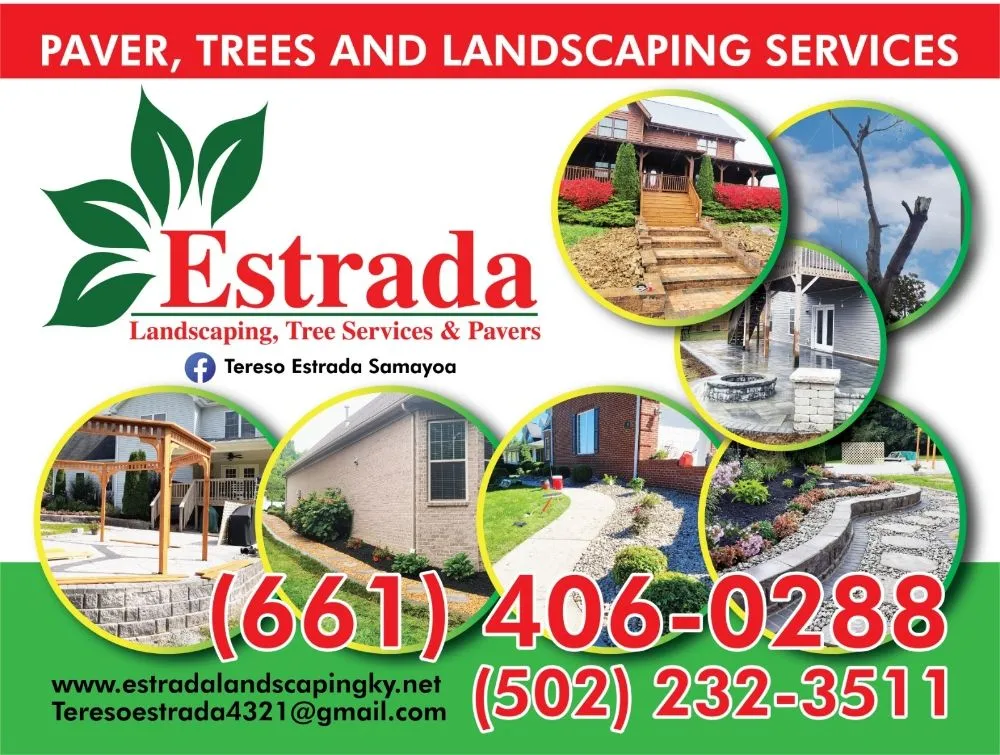 Trusted yard cleanup service in Shelbyville, KY - Tereso Estrada