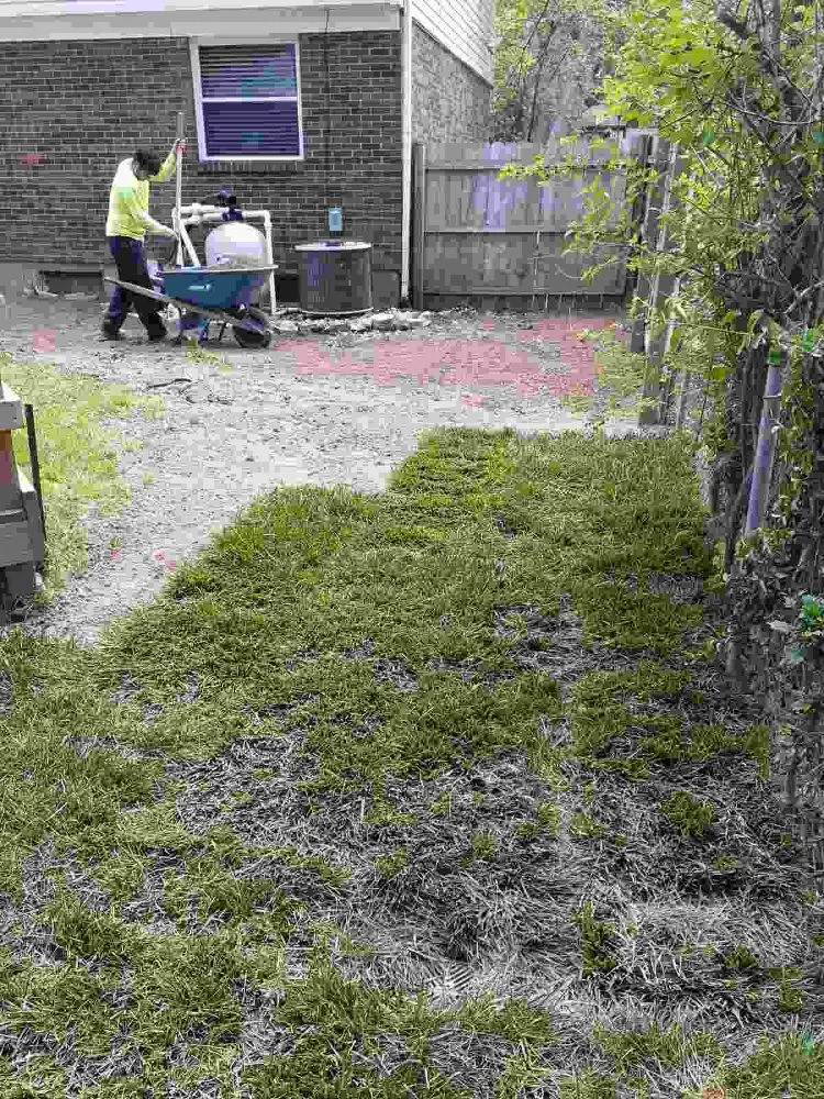 Trusted lawn care service near you across Shelbyville, KY - Tereso Estrada