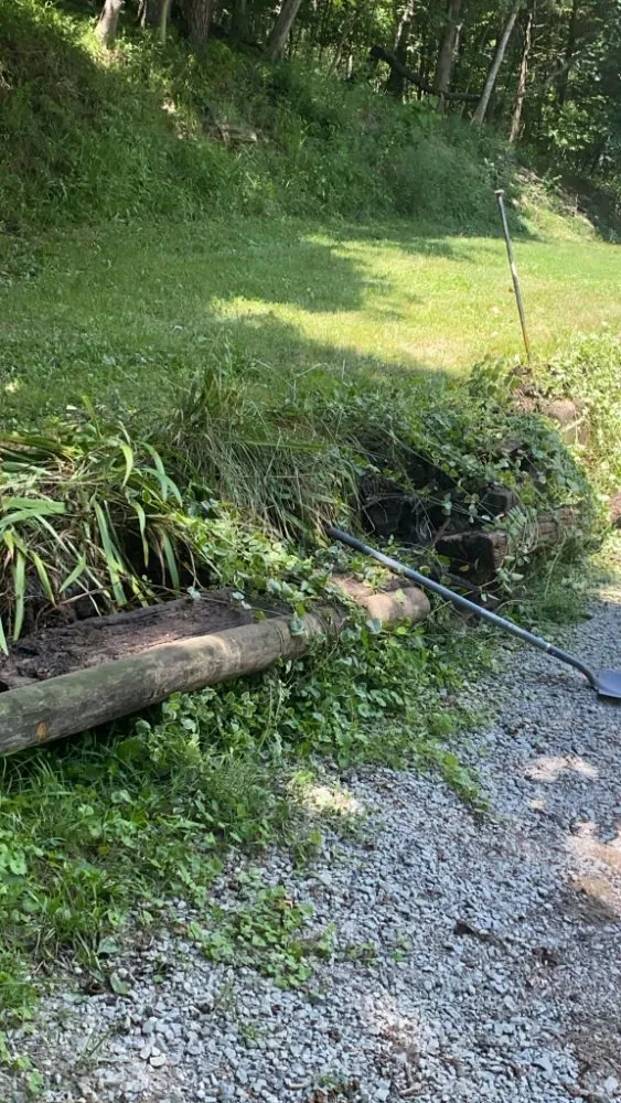 Affordable landscape design for homes in Shelbyville, KY by Tereso Estrada