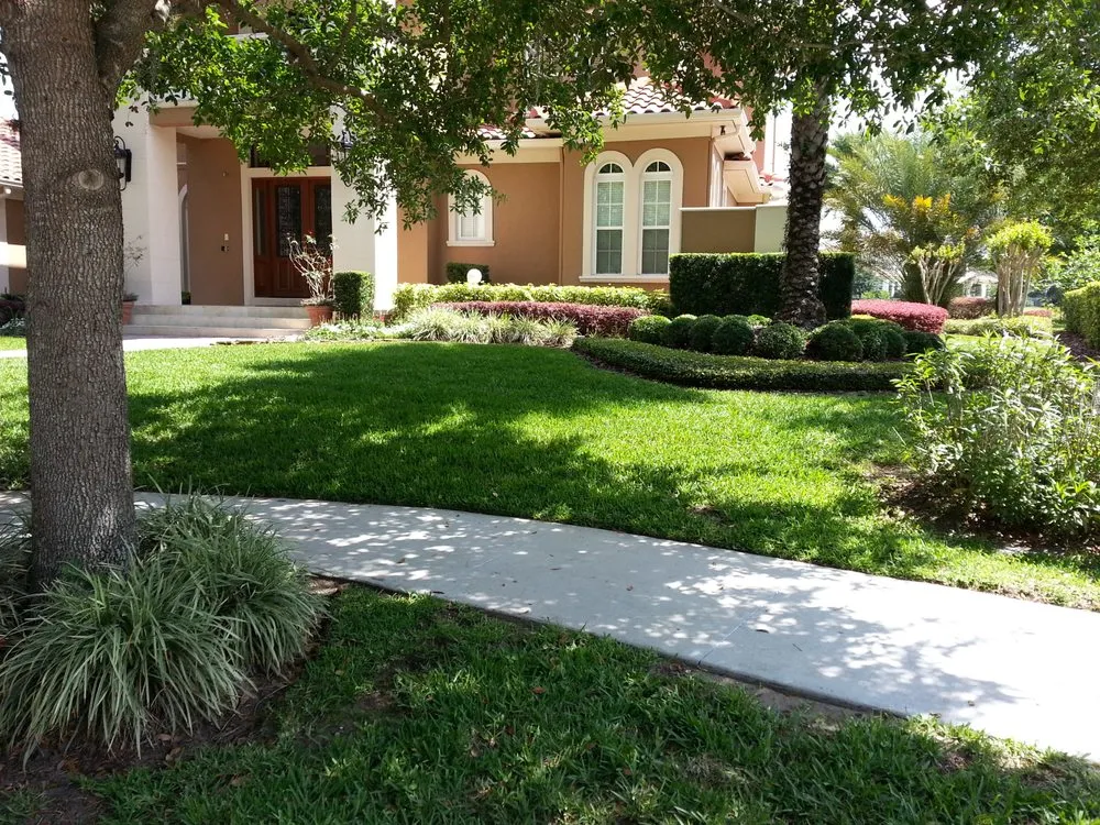 Top-rated yard cleanup service for year-round maintenance in Orlando, FL by Termite Lawn and Pest