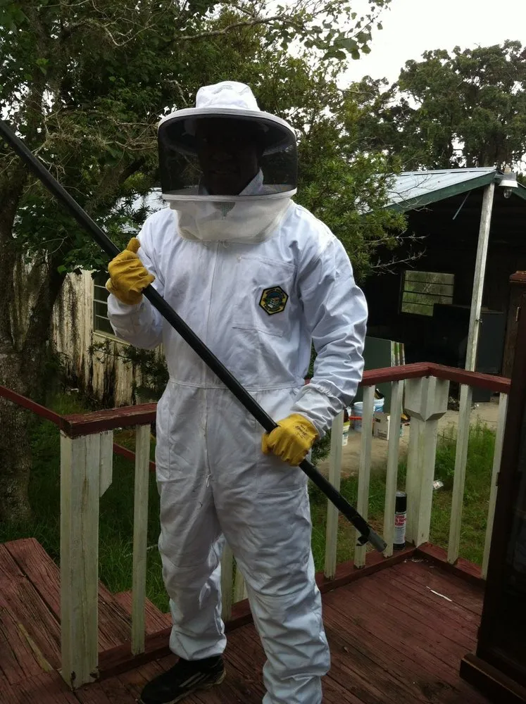 Expert lawn mowing service with custom design across Orlando, FL - Termite Lawn and Pest