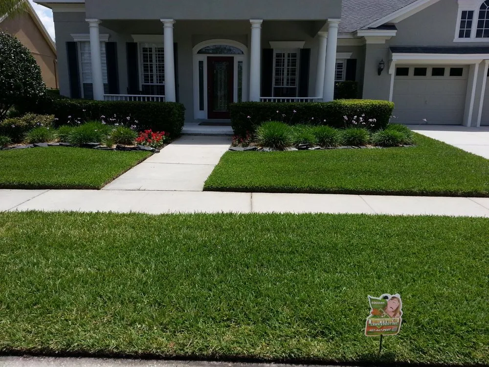 Local yard cleanup service in Orlando, FL - Termite Lawn and Pest