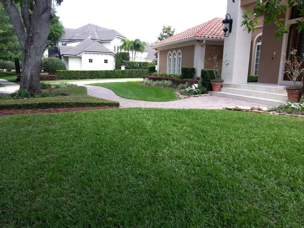 Trusted yard cleanup service for homes in Orlando, FL by Termite Lawn and Pest