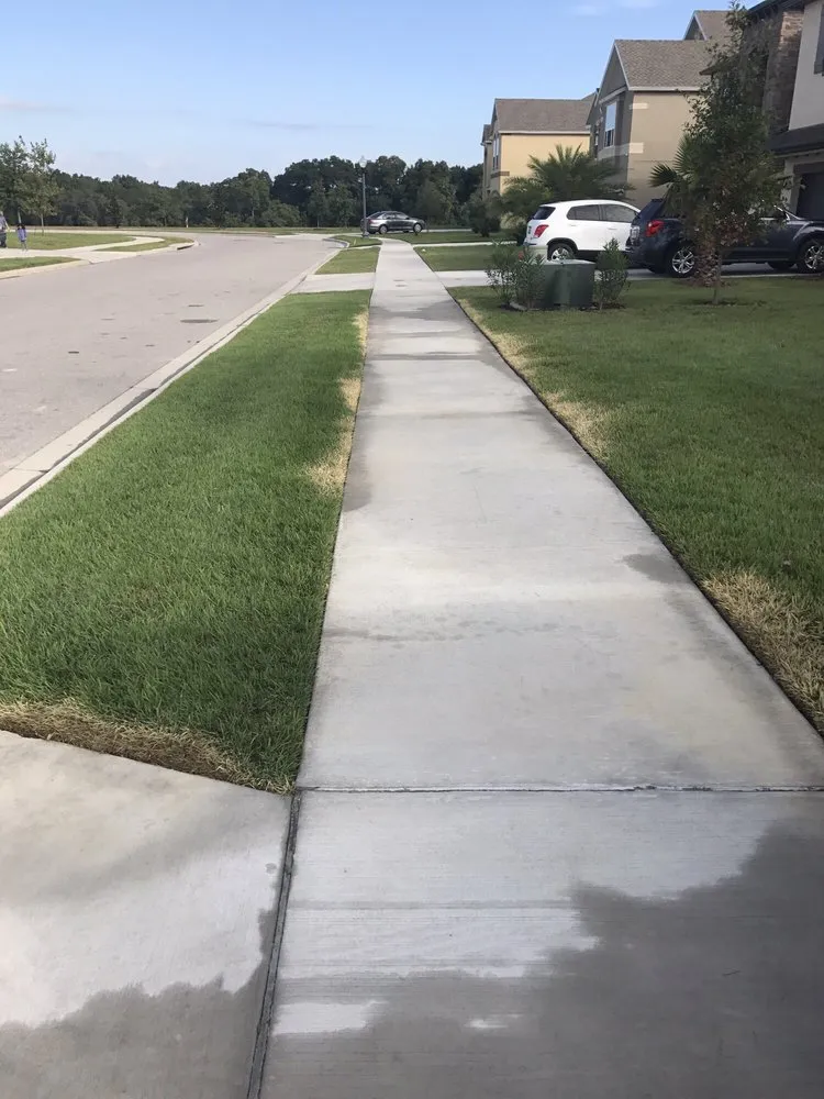 Local landscape installation experts serving Orlando, FL - Termite Lawn and Pest