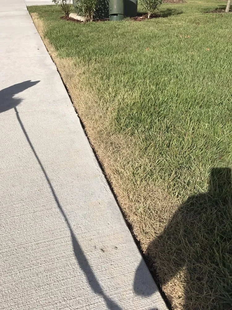 Reliable landscape design with custom design in Orlando, FL by Termite Lawn and Pest