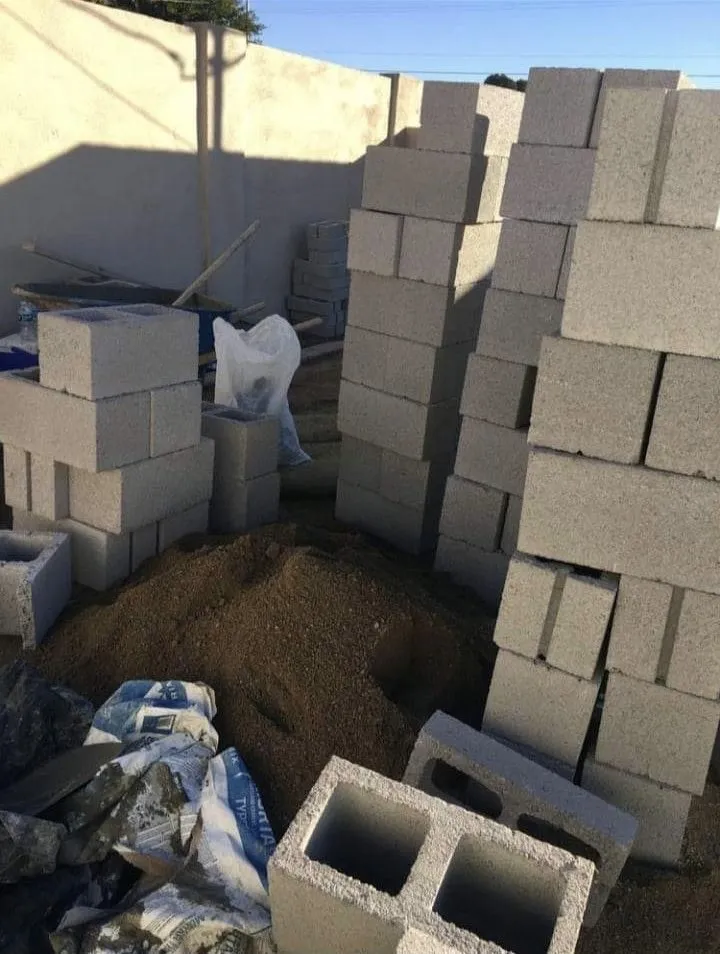 Reliable yard maintenance in Phoenix, AZ by Termites Removal