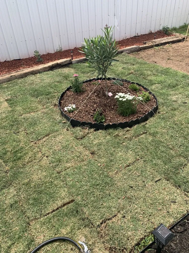 Top-rated yard cleanup service in Levelland, TX by Ternes Landscaping