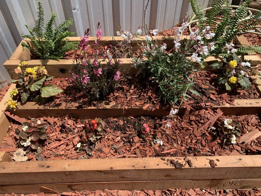 Expert landscape design experts serving Levelland, TX - Ternes Landscaping