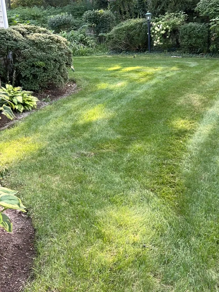 Reliable landscape design in Hyannis, MA - TernLane Pro Painting and Landscaping