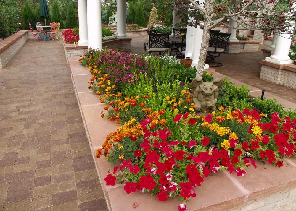 Custom yard cleanup service in Westminster, CO by Terra Bella Landscape Architecture