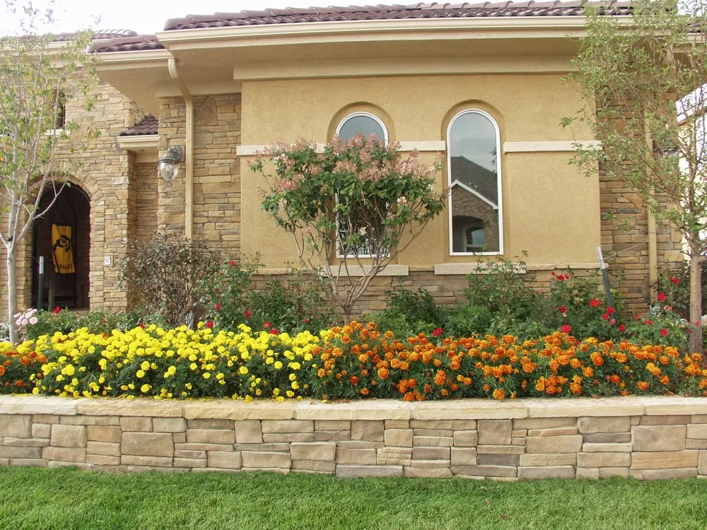 Top-rated lawn mowing service near you in Westminster, CO by Terra Bella Landscape Architecture