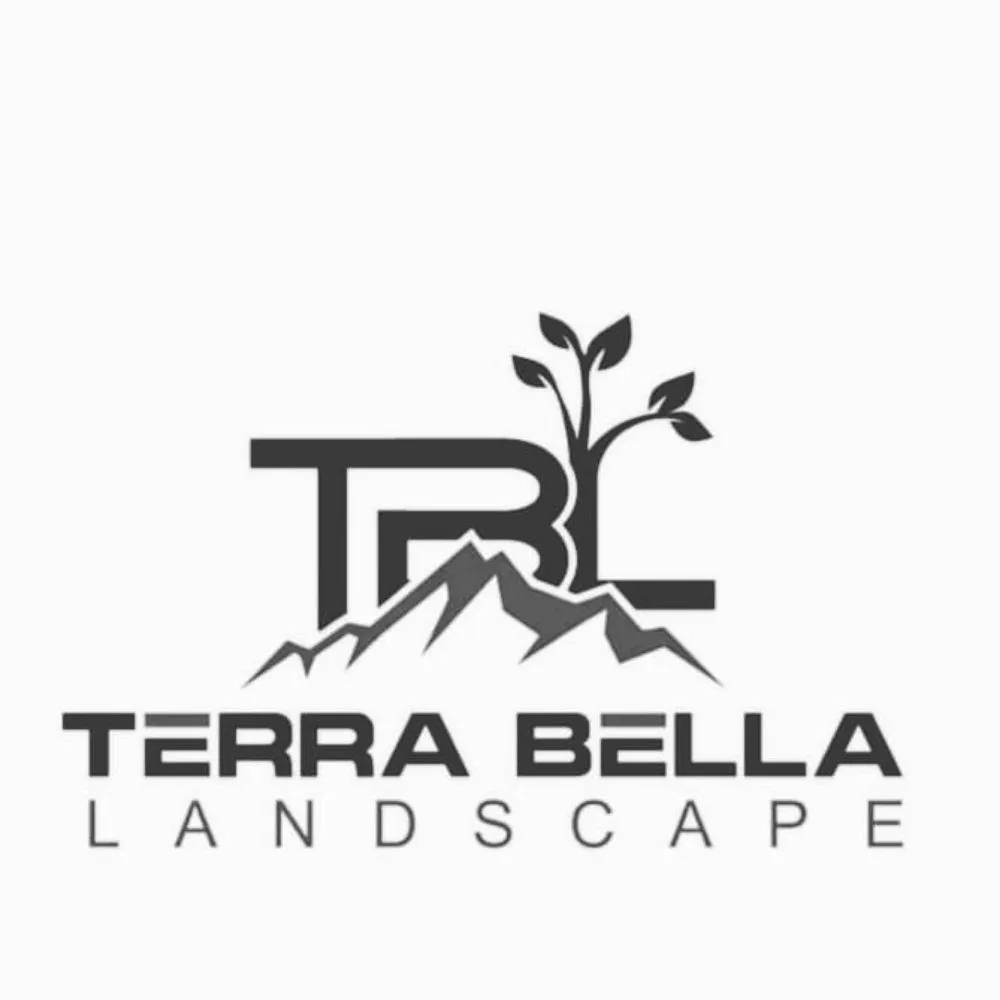 Reliable landscape installation experts serving Cathedral City, CA - Terra Bella landscape