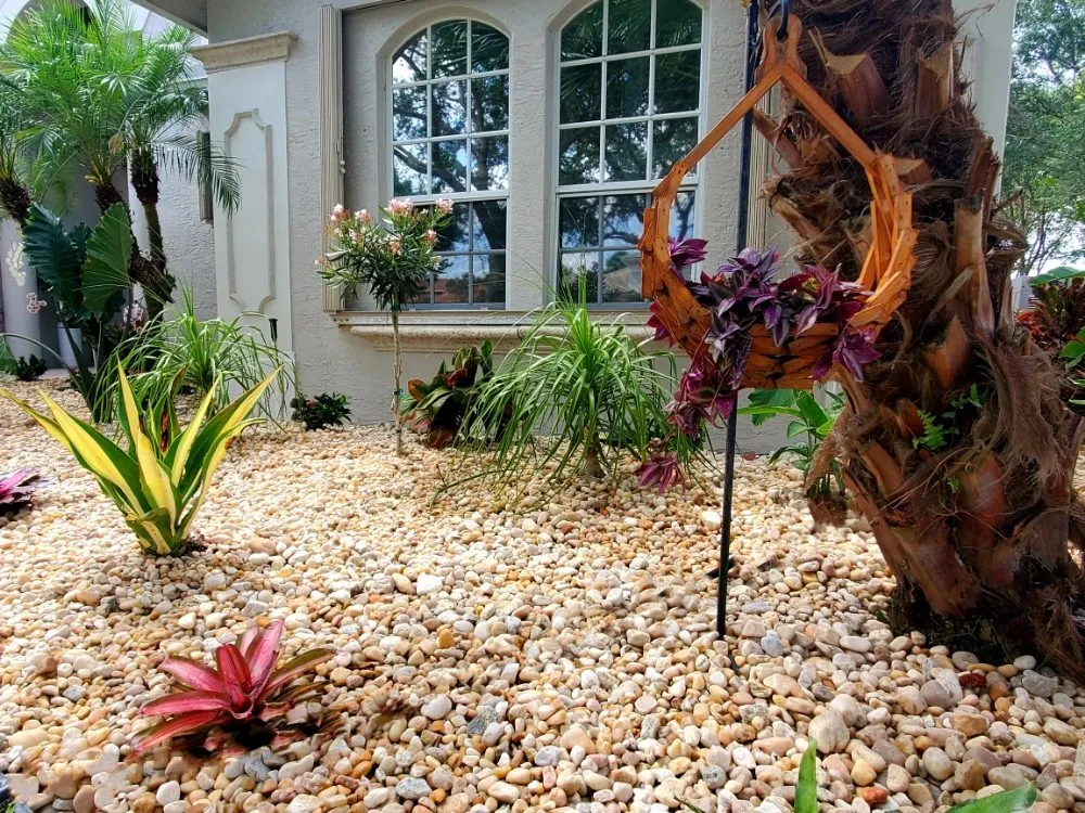 Local landscaping services for year-round maintenance across Delray Beach, FL - Terra Bella Landscaping & Design