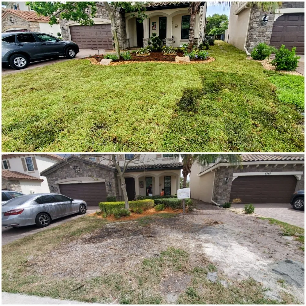 Expert yard cleanup service experts serving Delray Beach, FL - Terra Bella Landscaping & Design