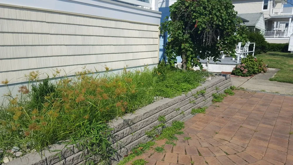 Reliable landscape installation for outdoor upgrades across Atlantic City, NJ - Terra Bella Landscaping Powerwashing & Property Management