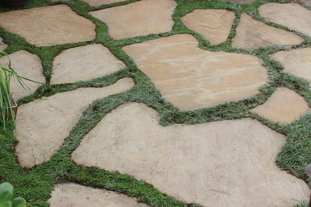 Professional outdoor landscaping with custom design across Santa Cruz, CA - Terra Bella Landscaping