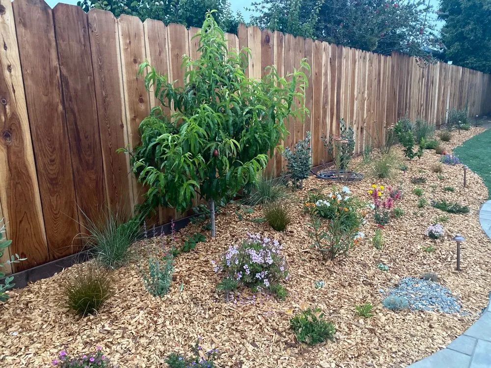 Professional lawn care service for residential properties in Santa Cruz, CA by Terra Bella Landscaping