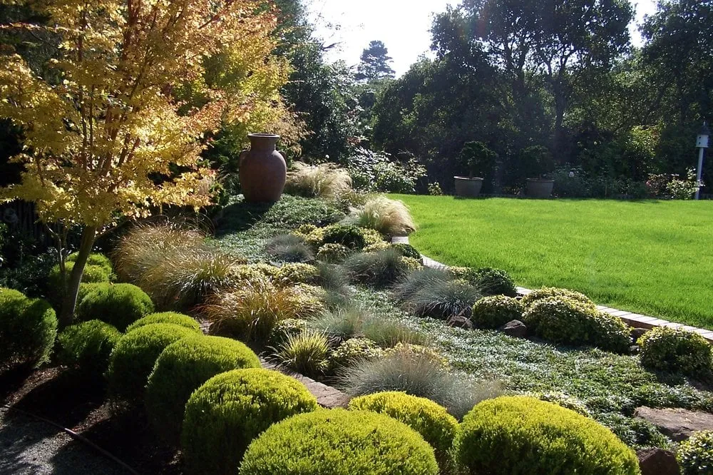 Expert garden landscaping for outdoor upgrades across Santa Cruz, CA - Terra Bella Landscaping