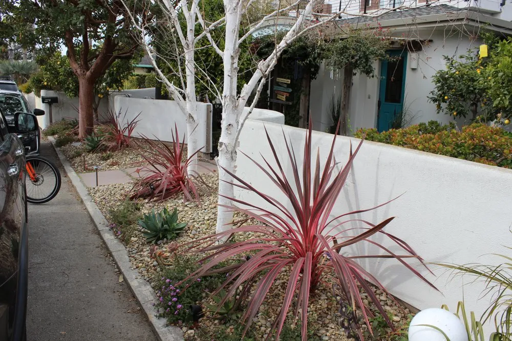 Professional lawn mowing service for year-round maintenance across Santa Cruz, CA - Terra Bella Landscaping