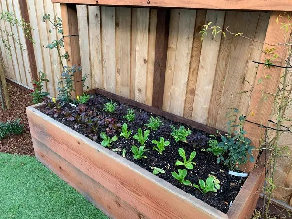 Expert landscaping services in Monterey, CA by Terra Bella