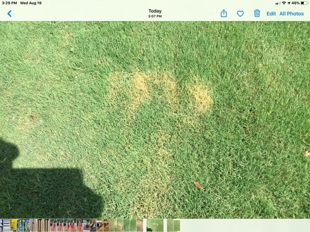 Expert landscape design in Pendergrass, GA - Terra Bites Lawn Service