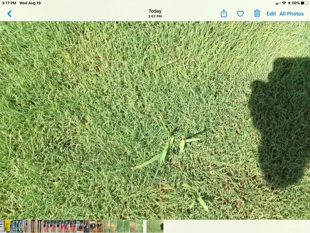 Trusted yard maintenance for outdoor upgrades across Pendergrass, GA - Terra Bites Lawn Service