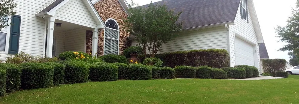 Professional landscape design in Pendergrass, GA - Terra Bites Lawn Service
