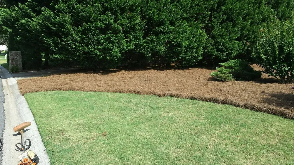 Reliable lawn mowing service experts serving Pendergrass, GA - Terra Bites Lawn Service