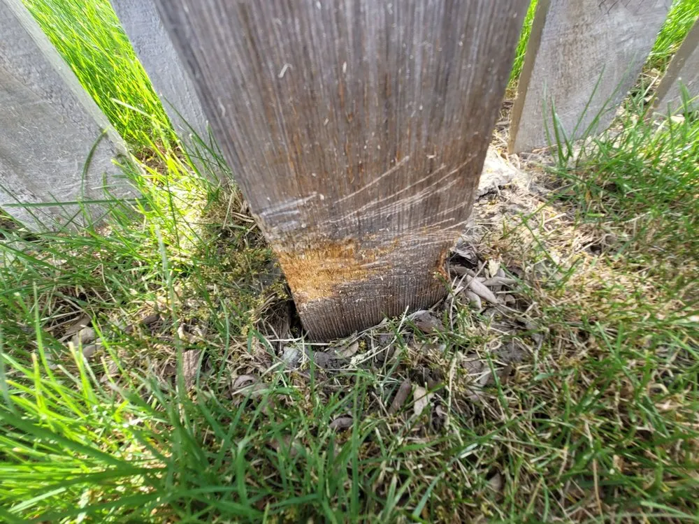 Local landscape design near you across North Aurora, IL - Terra Care