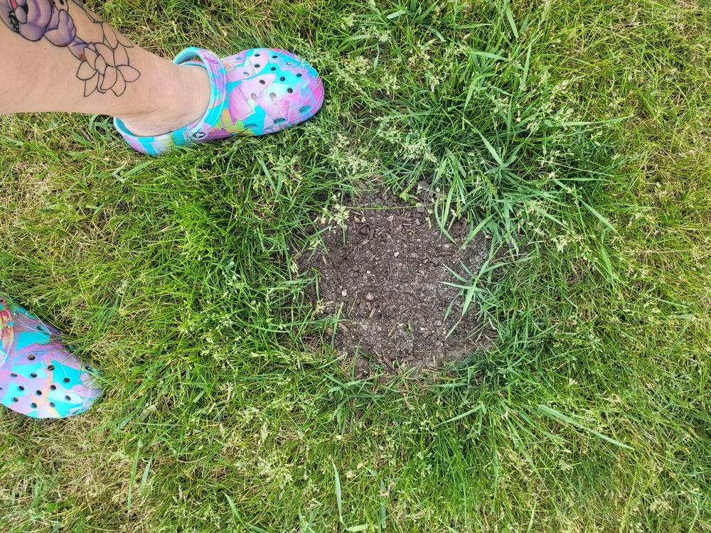 Affordable landscape installation experts serving North Aurora, IL - Terra Care