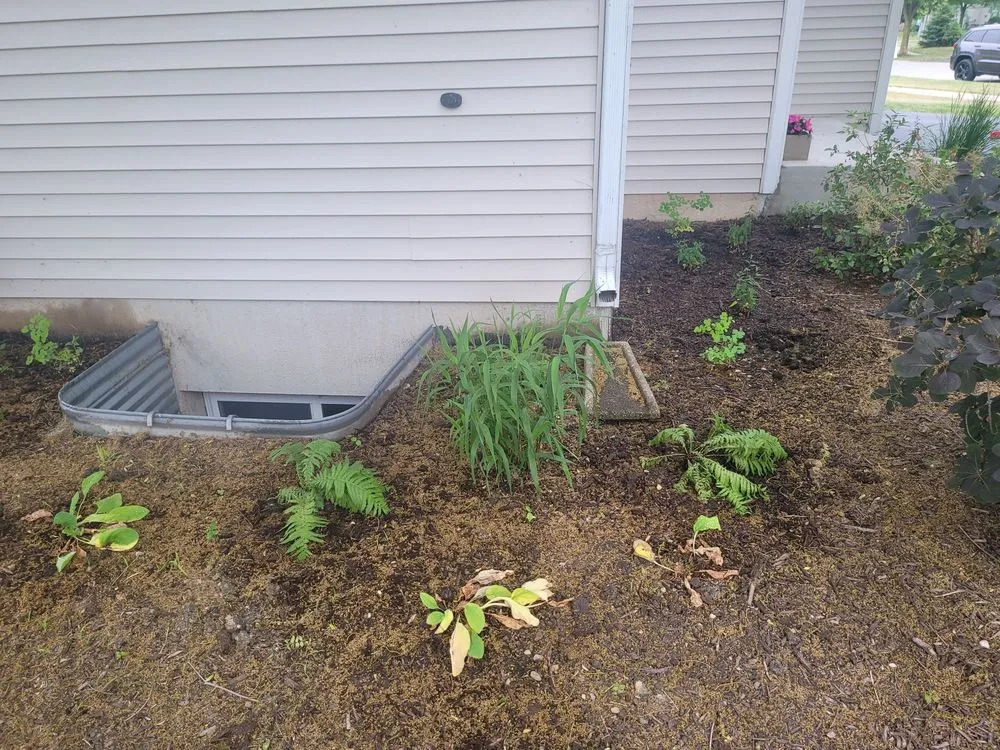 Local yard cleanup service for residential properties in North Aurora, IL by Terra Care