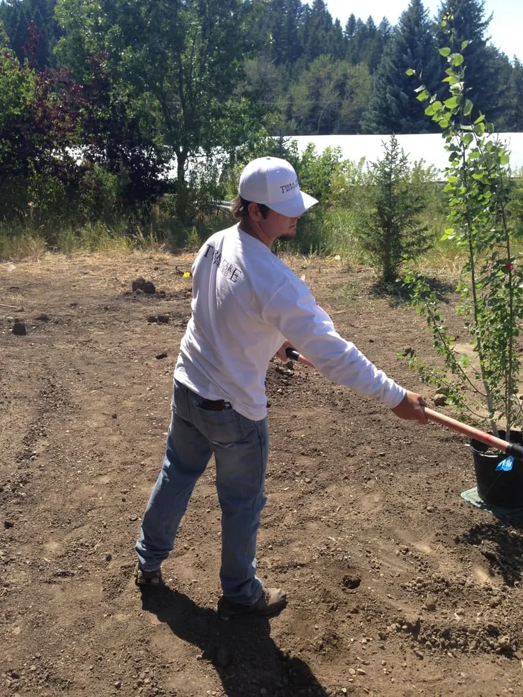 Professional garden landscaping for outdoor upgrades in Bozeman, MT by Terra Care Services