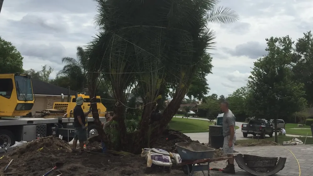 Reliable lawn care service in Orlando, FL by Terra Consulting & Design