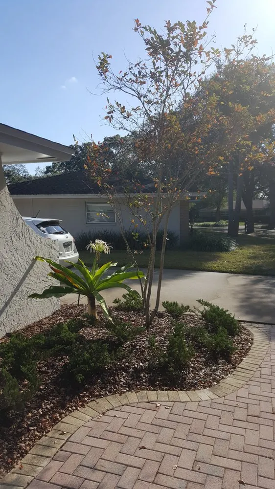 Affordable yard maintenance in Orlando, FL - Terra Consulting & Design