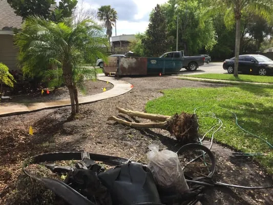 Terra Consulting & Design Logo