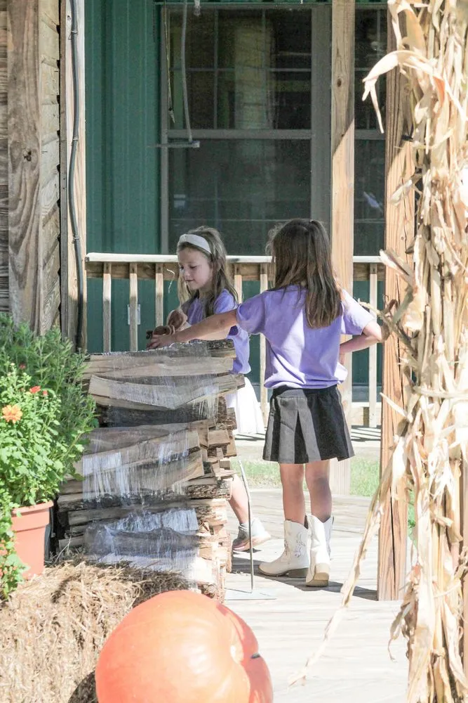 Local landscape design in Troy, AL - Terra Cotta