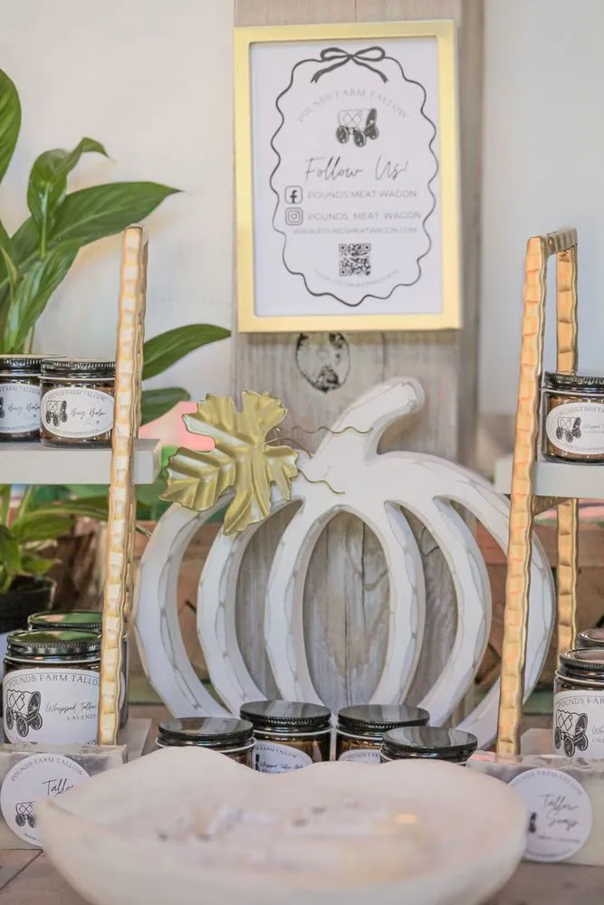 Expert lawn mowing service experts serving Troy, AL - Terra Cotta