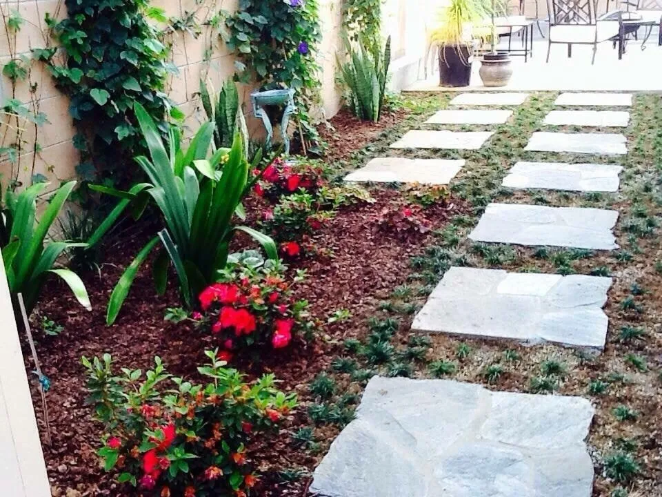 Reliable residential landscaping near you in Redondo Beach, CA by Terra Culture Designs