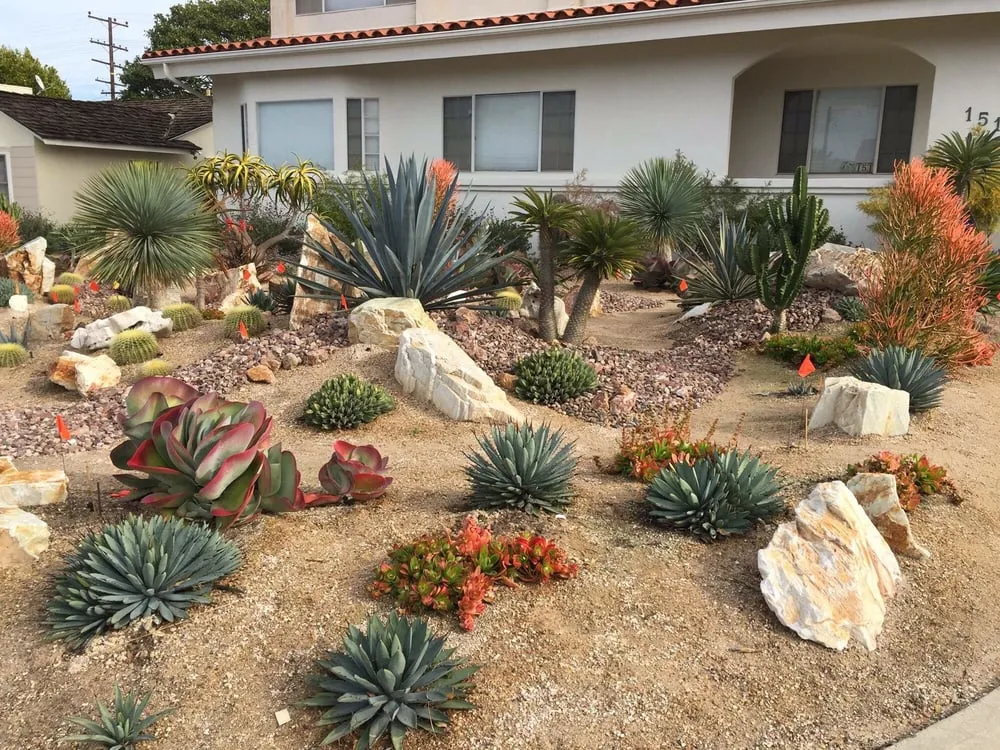 Trusted lawn mowing service in Redondo Beach, CA - Terra Culture Designs