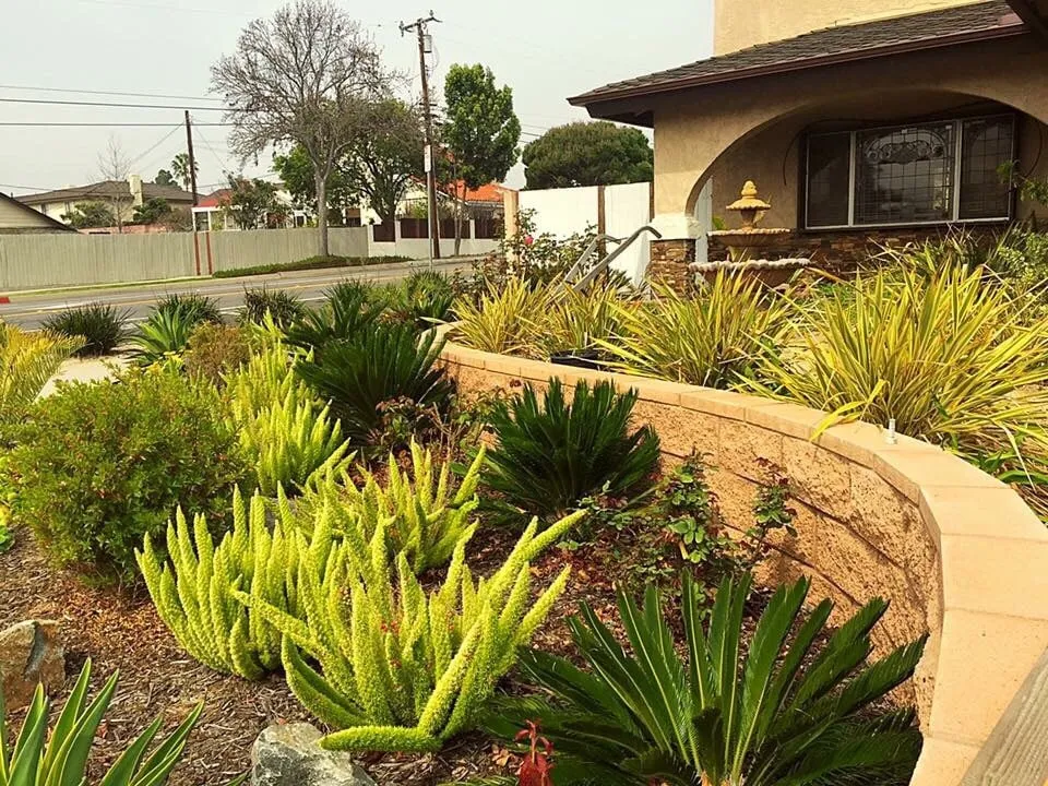 Reliable yard cleanup service experts serving Redondo Beach, CA - Terra Culture Designs