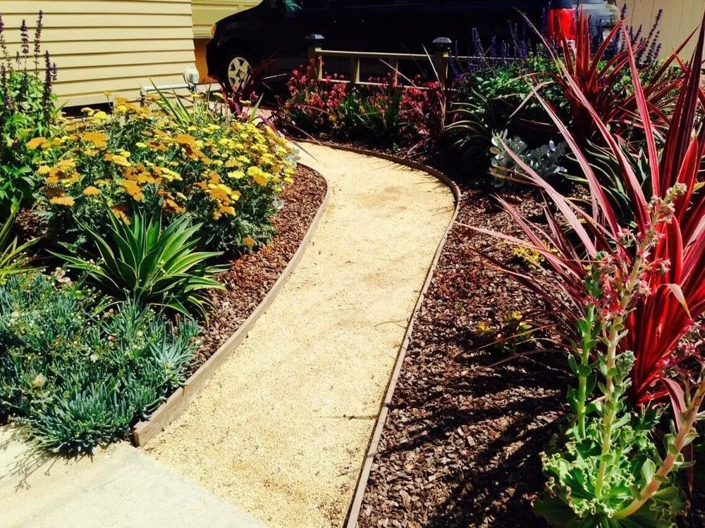 Affordable landscaping services experts serving Redondo Beach, CA - Terra Culture Designs
