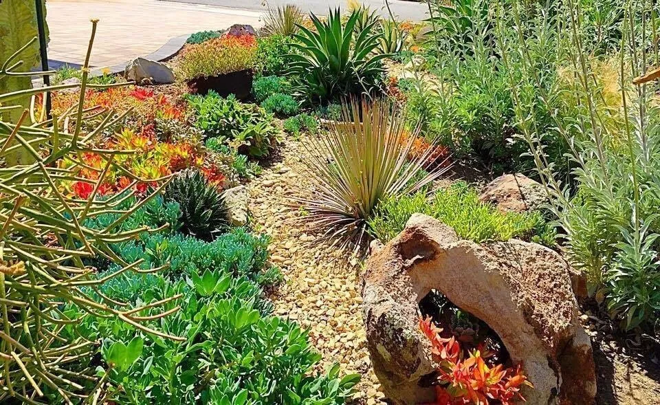 Professional landscape design experts serving Redondo Beach, CA - Terra Culture Designs
