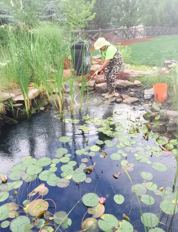 Professional landscape design for beautiful yards across Thornton, CO - Terra Design & Landscape