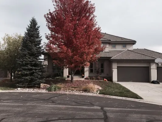 Terra Design & Landscape Logo