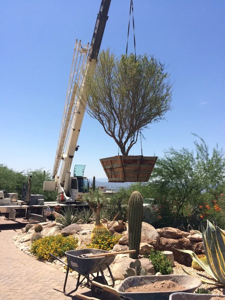 Custom yard maintenance experts serving Tucson, AZ - Terra Environmental Services