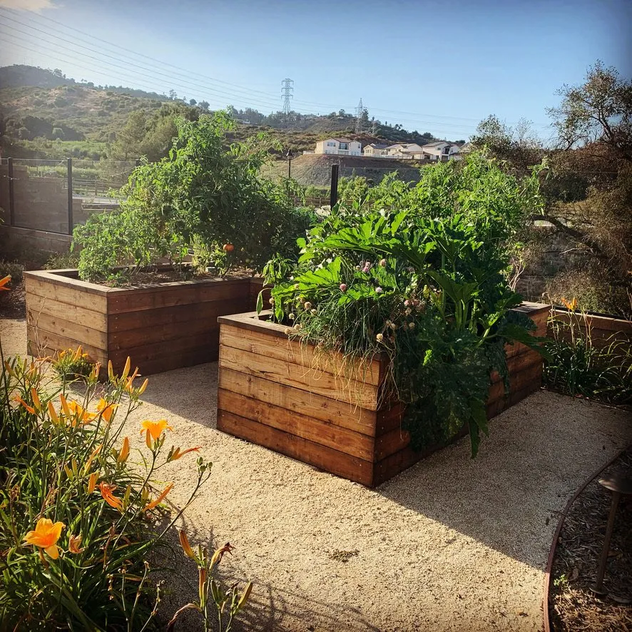 Expert yard maintenance with custom design in San Diego, CA by Terra Firma Landscape